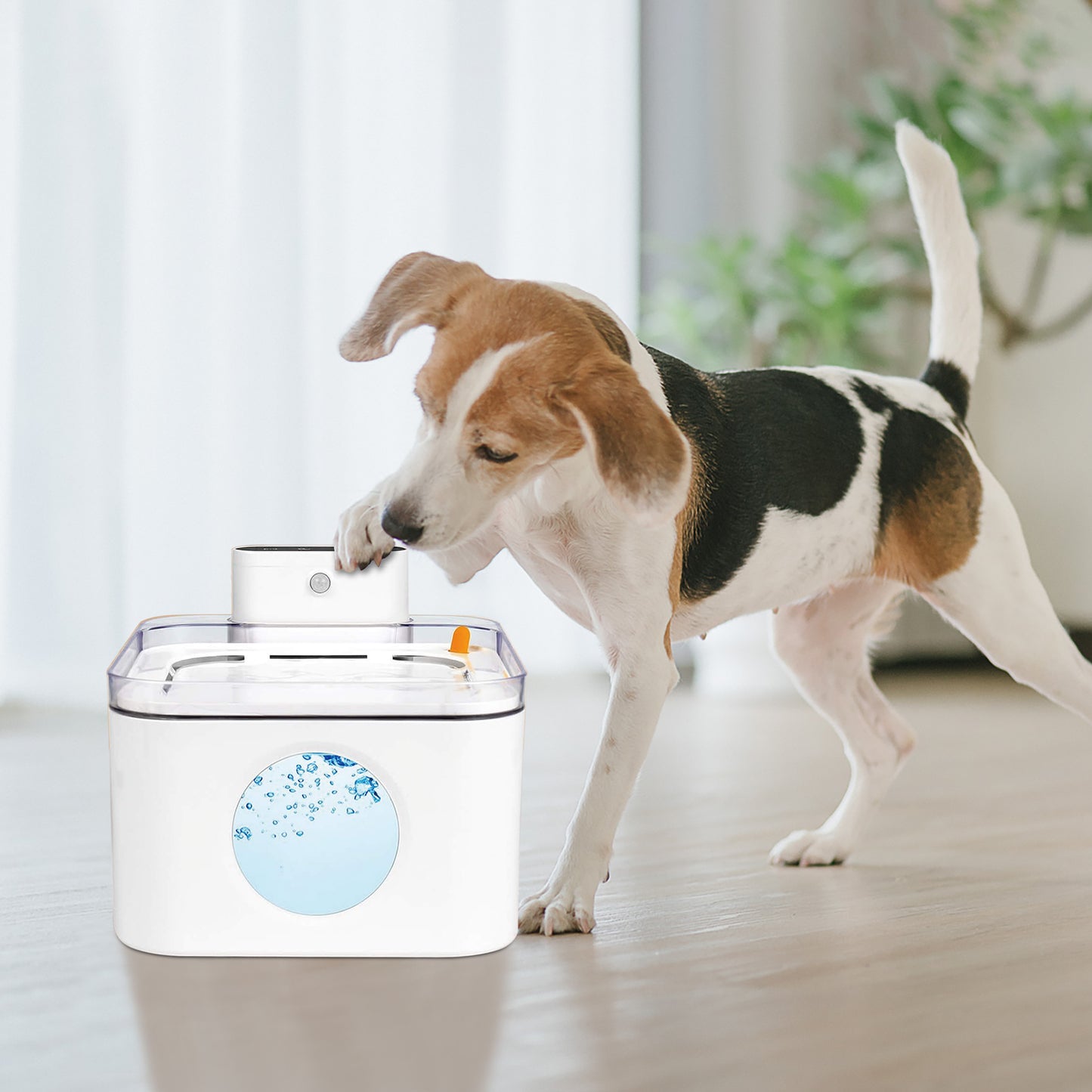 Dog Water Fountain, Battery Powered